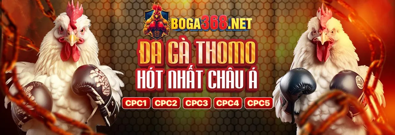 Sảnh casino trực tuyến 7Clubs